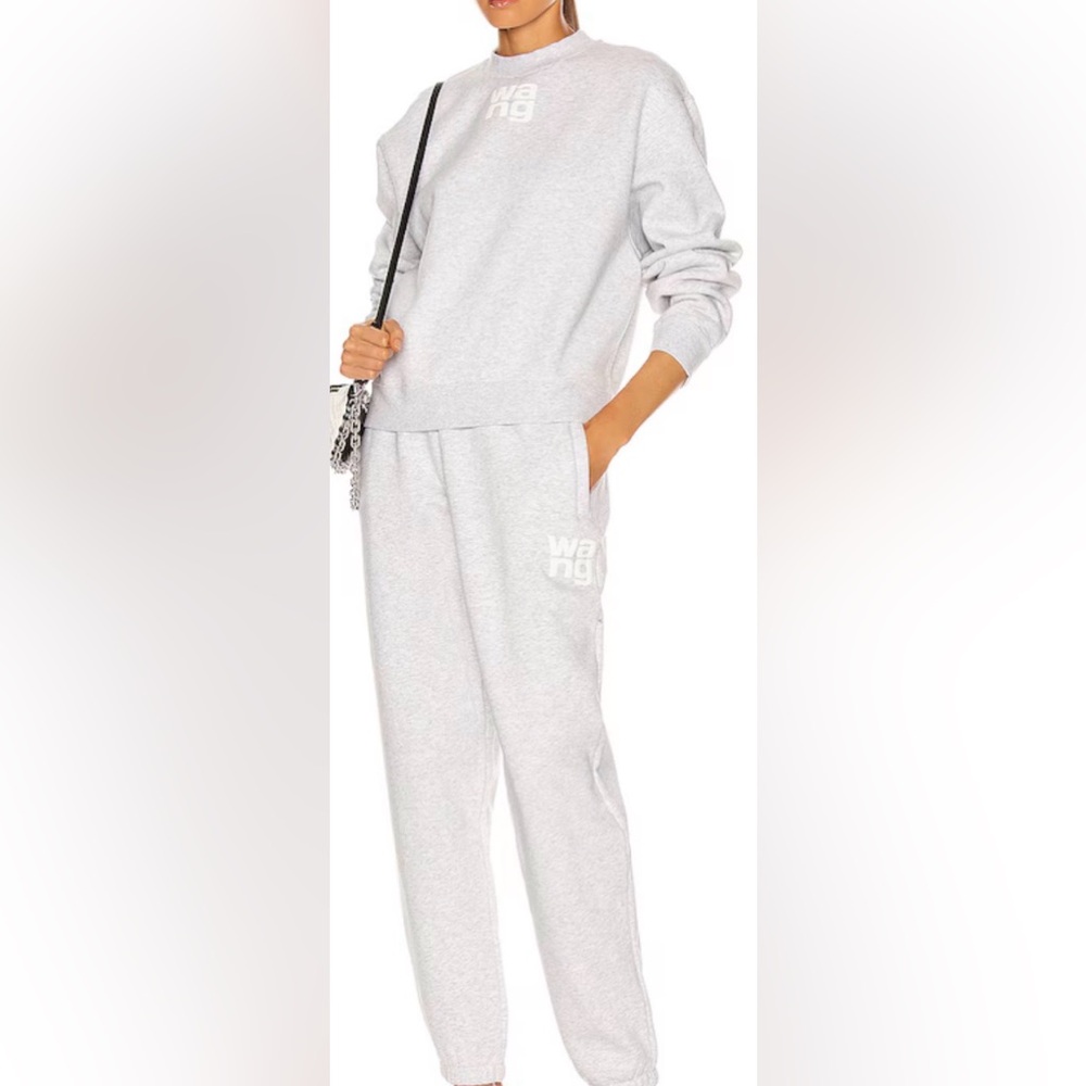 Alexander Wang sweatshirt and matching sweatpants